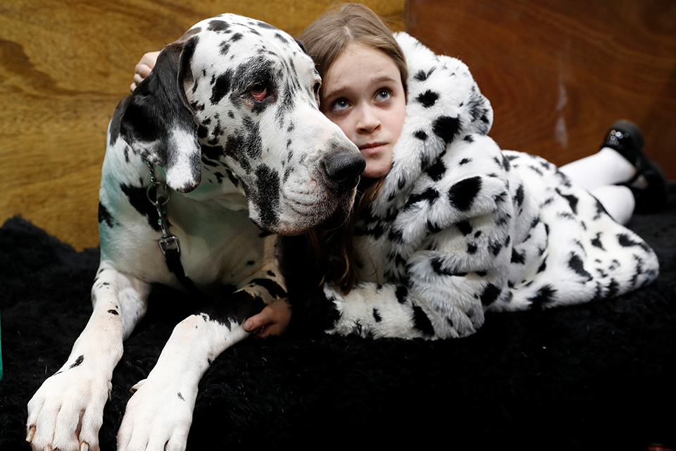 φωτογραφήματα-2237814