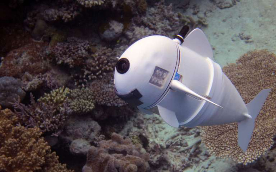 στην-υπηρεσία-των-θαλασσίων-ερευνών-έ-2240334