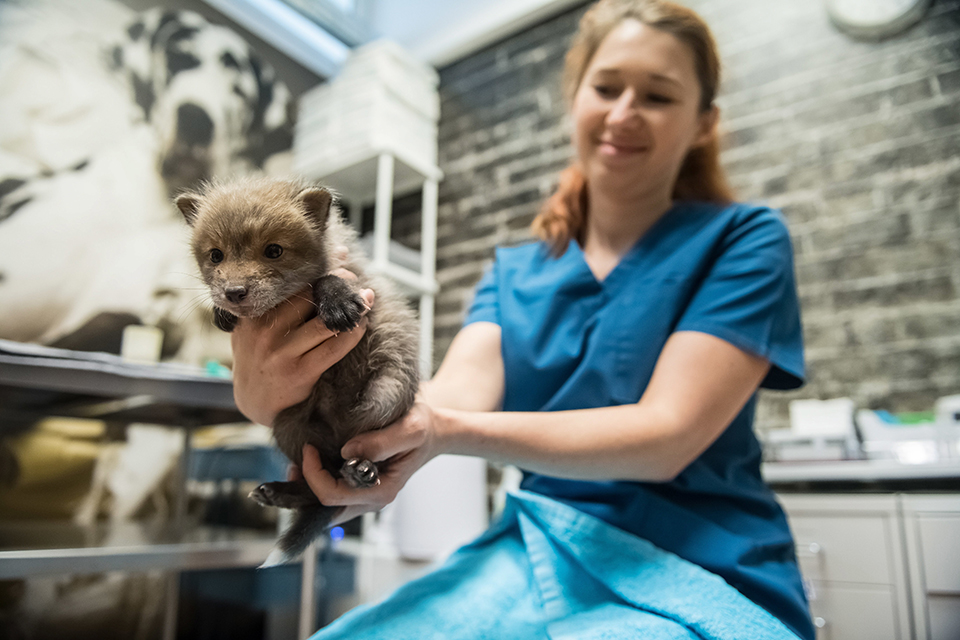 φωτογραφήματα-2242074