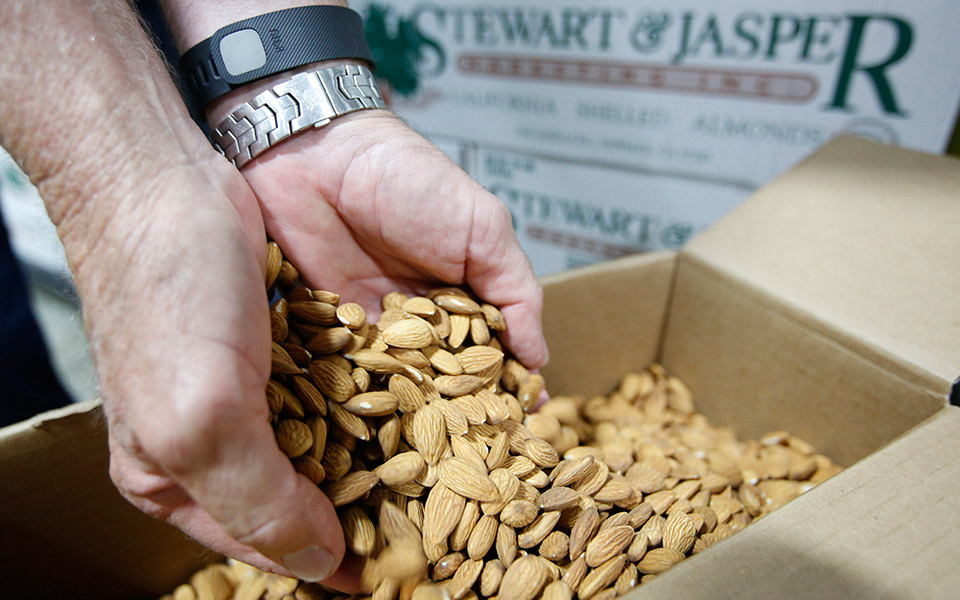 οι-ξηροί-καρποί-βοηθάνε-στην-επιβίωση-2236913