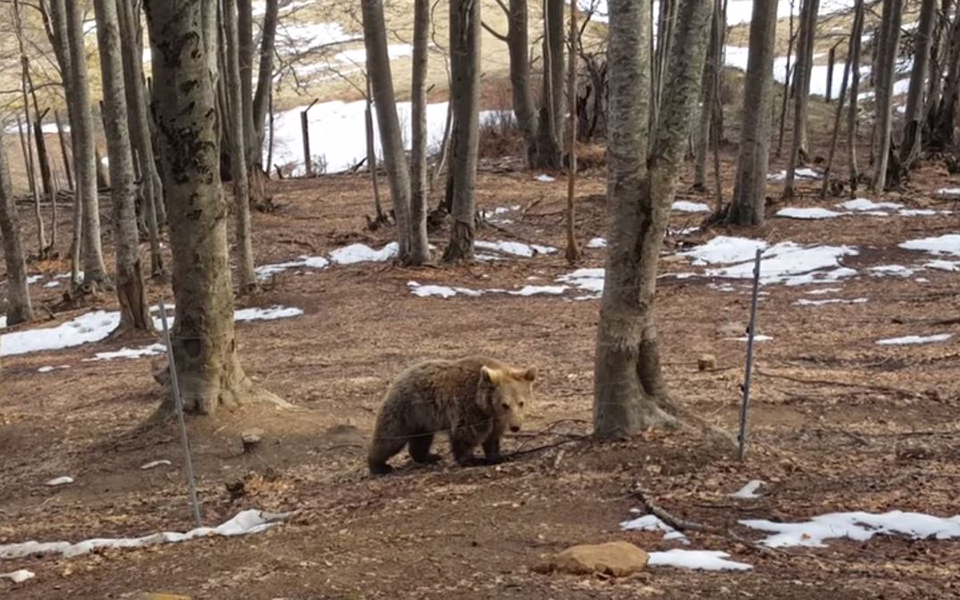 οι-ανοιξιάτικες-θερμοκρασίες-ξύπνησ-2238952
