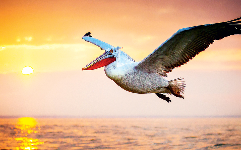 τα-love-stories-της-κερκίνης-2240514