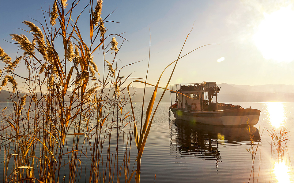 αγρίνιο-ανάσταση-στη-λίμνη-2240231