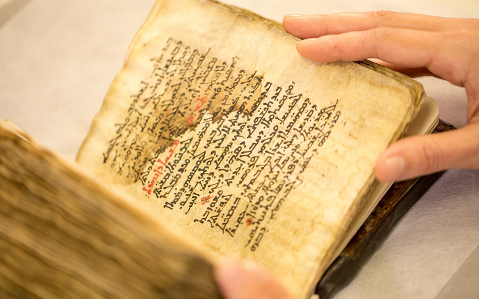 συγκλονιστική-αποκάλυψη-στο-φως-αρχα-2240856