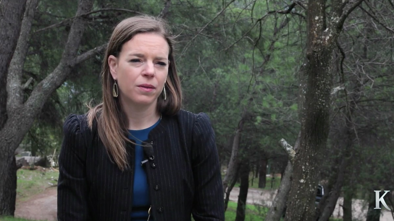 ξένες-επενδύσεις-στην-ελλάδα-και-προο-2238037