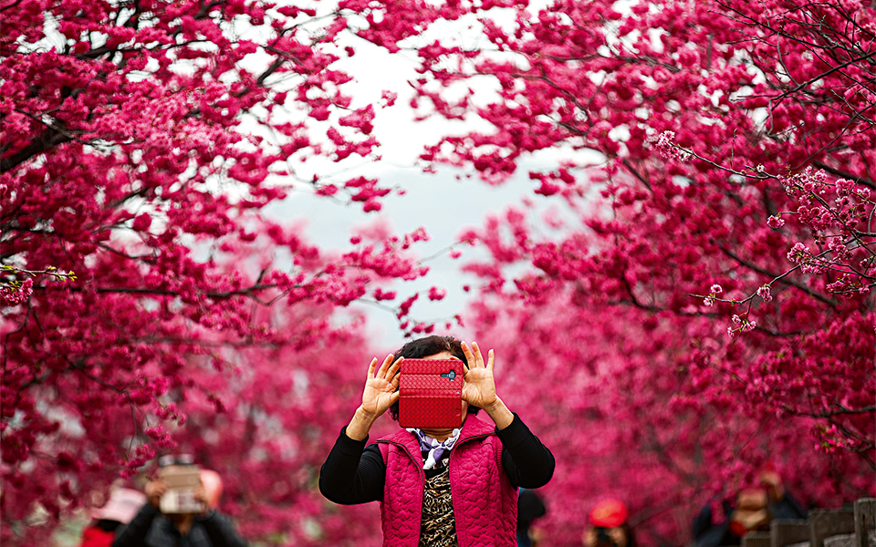ταϊχουνγκ-ταϊβάν-2236318