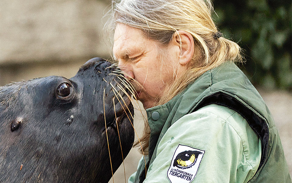 βιέννη-αυστρία-2239125
