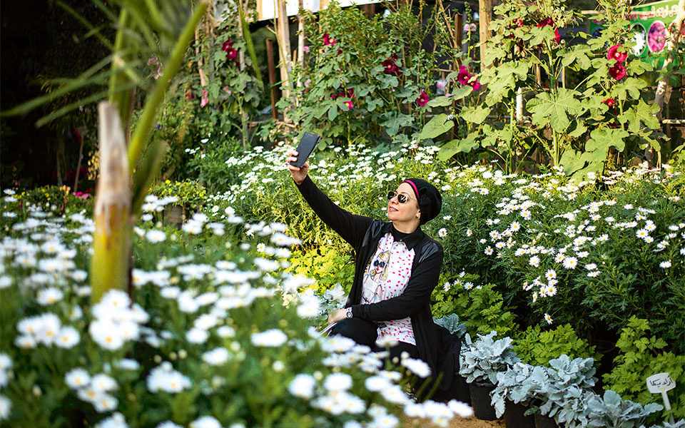 γκίζα-αίγυπτος-2239124