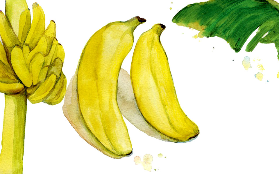 μπανάνες-κρήτης-2241370