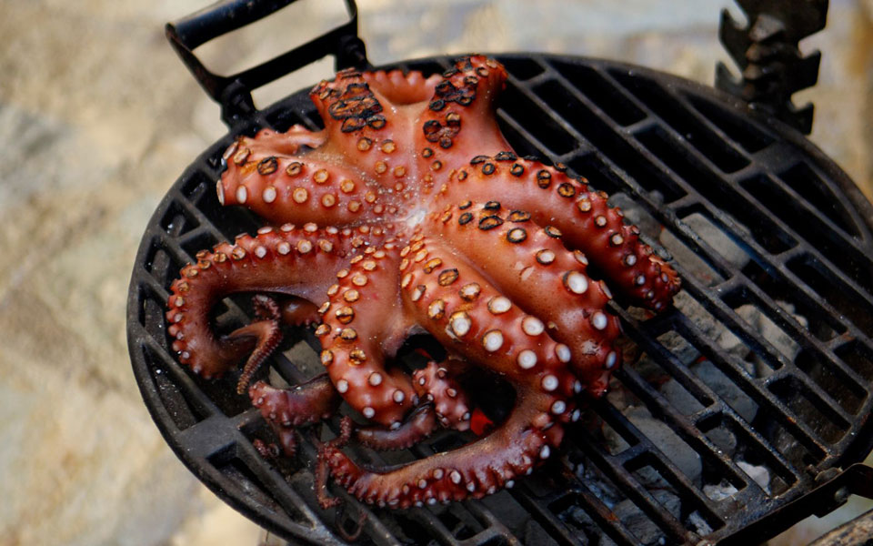 χταπόδι-o-μεζές-με-τα-8-πλοκάμια-2236339