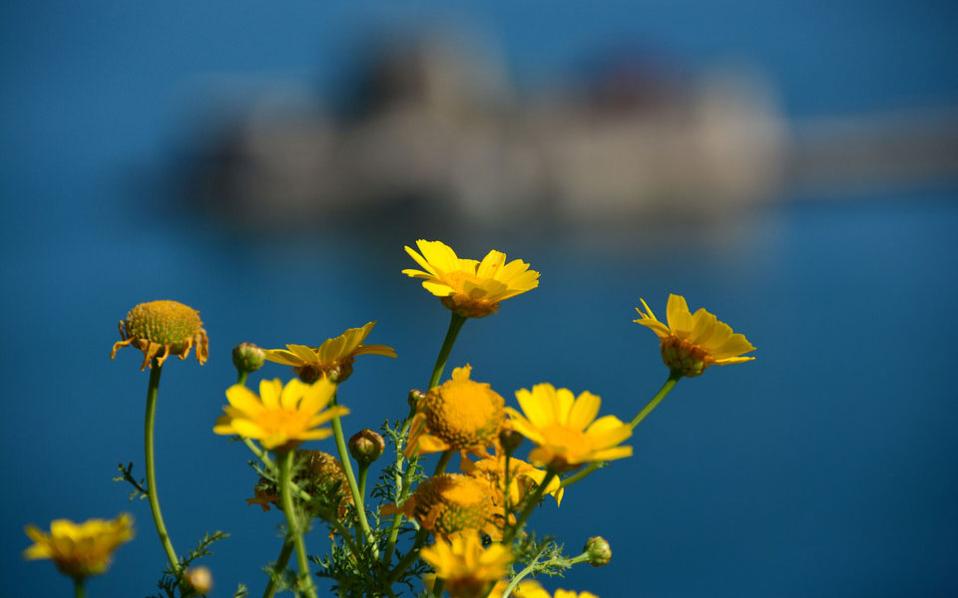 την-τρίτη-ξεκινά-κι-επίσημα-η-άνοιξη-2239707