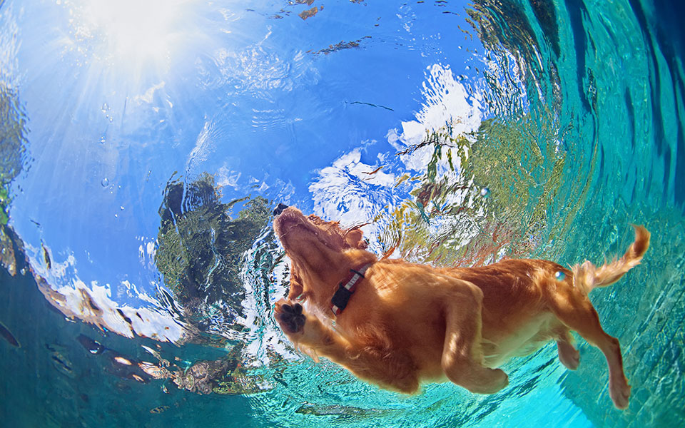 τραγικοί-ήρωες-2239742