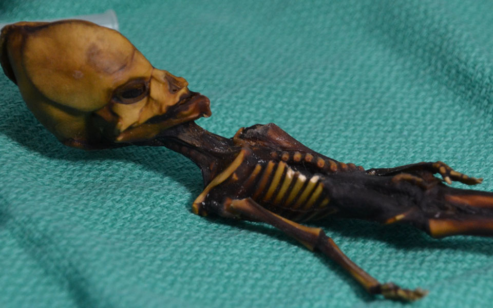 ο-εξωγήινος-της-χιλιανής-ερήμου-ατα-2240519