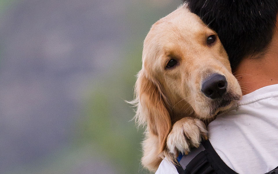 οι-μαύρες-σελίδες-του-νομοσχεδίου-γ-2241162