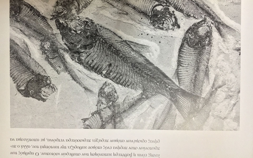 αδυνάτισμα-χωρίς-μαγικές-συνταγές-2239095