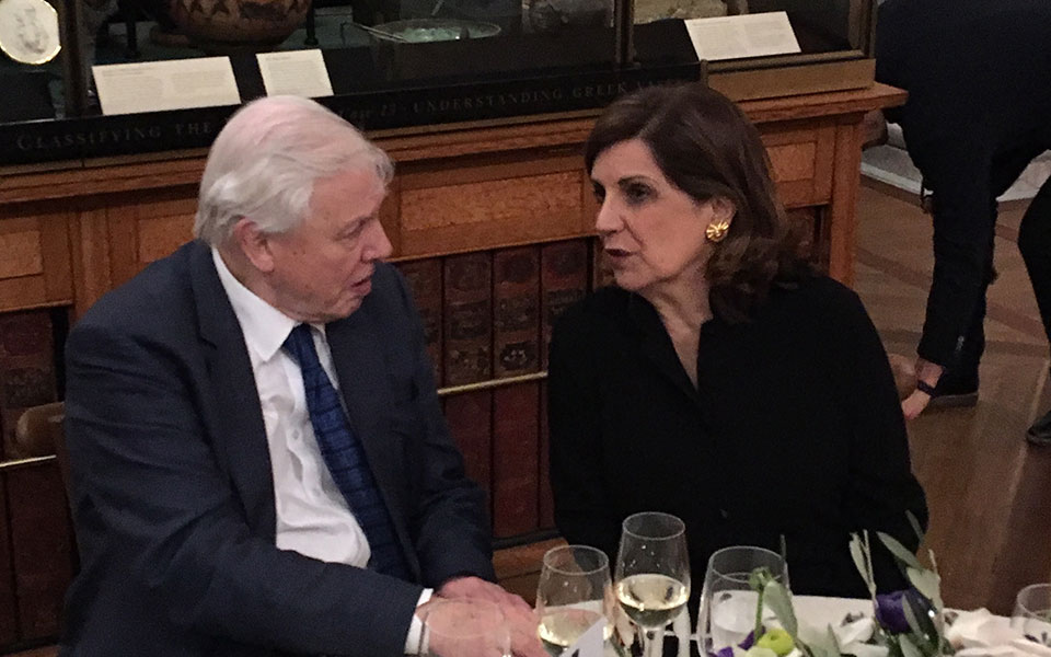 η-γοητεία-της-ζωής-στην-ελλάδα-μέσα-από-2238239