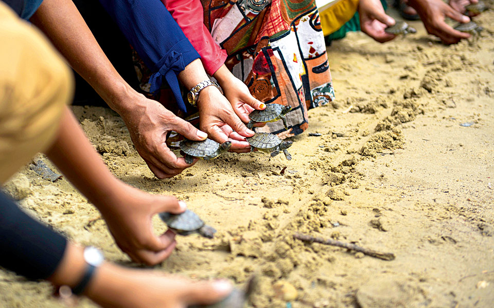 ατσε-ινδονησία-2247642