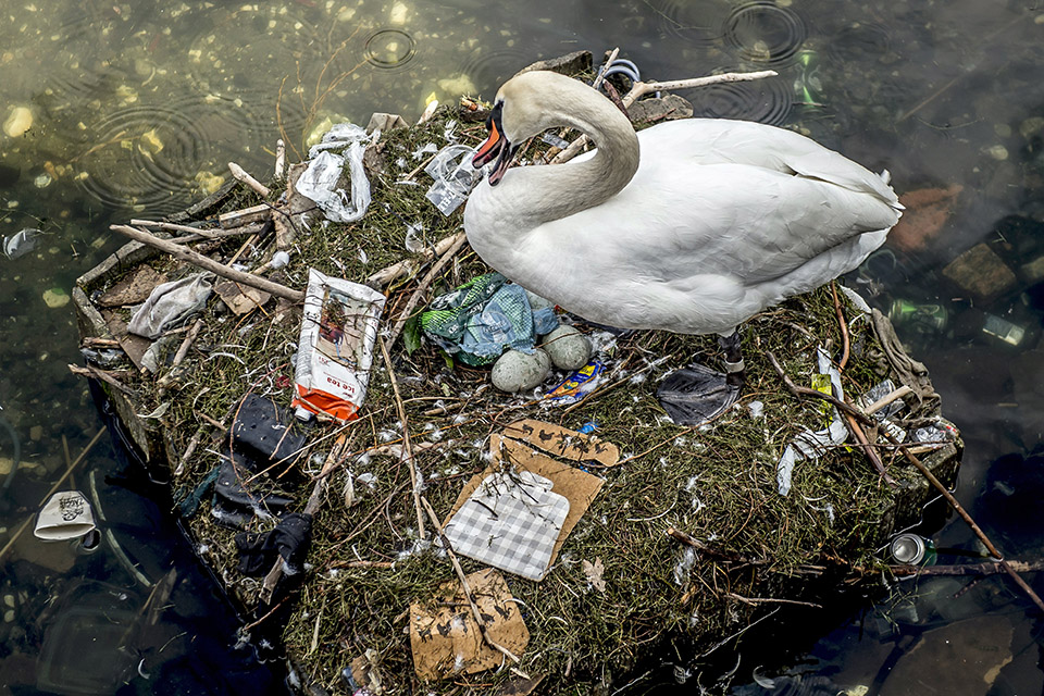 φωτογραφήματα-2245377