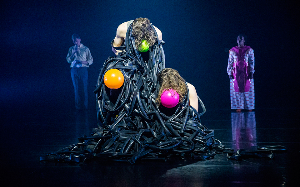 από-την-άγρια-φύση-της-αθήνας-στο-αμπ-2246460