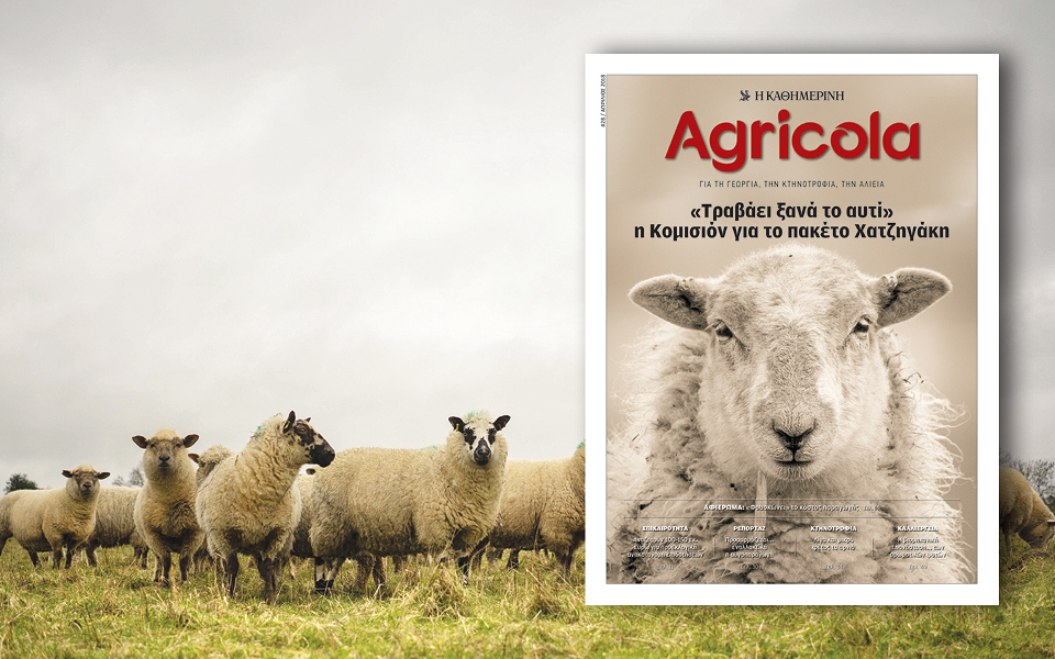 agricola-2242393
