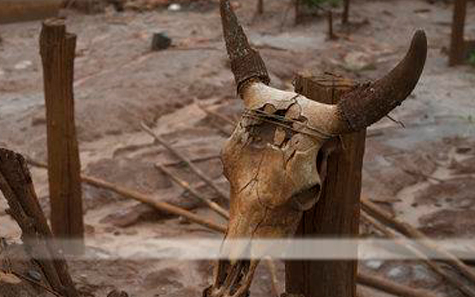 ιχνη-πρωτόγονης-χειρουργικής-επέμβα-2245604