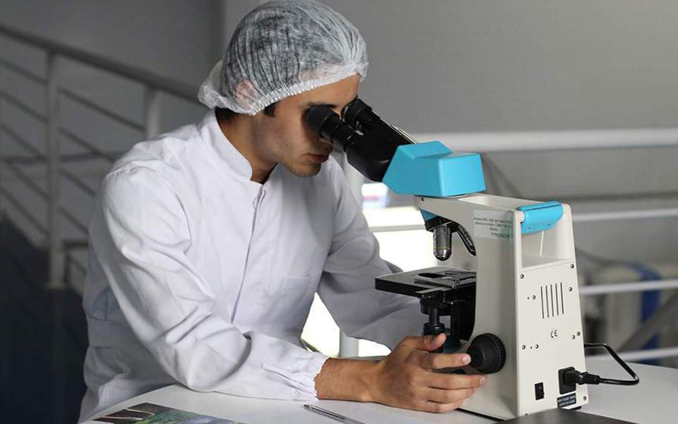 επιστήμονες-διατήρησαν-ζωντανούς-επ-2247384