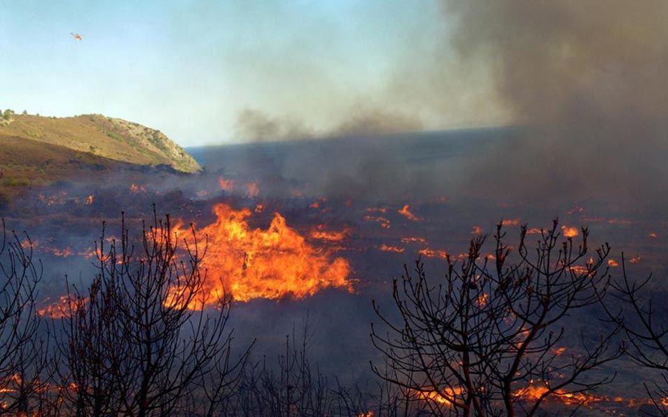 κίνα-ερευνητές-ανέπτυξαν-κατασκευασ-2242575