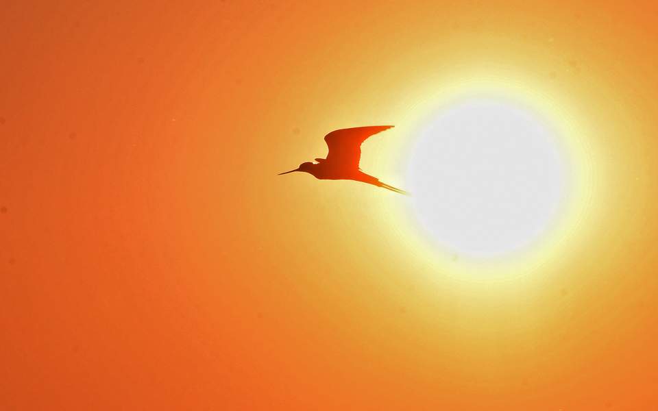 πιο-ζεστός-ο-φετινός-μάρτιος-στην-ελλά-2243689