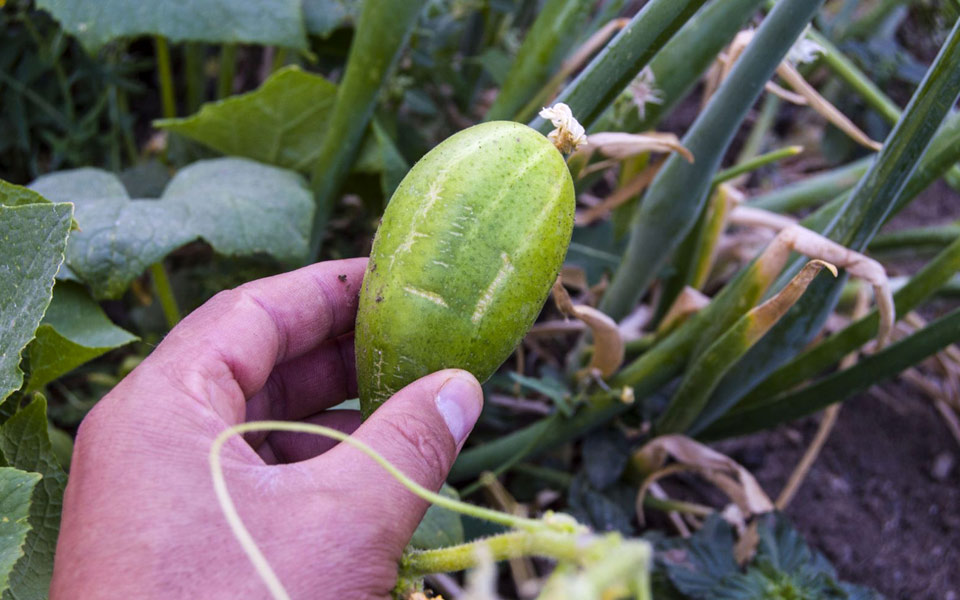 ας-μιλήσουμε-για-τις-ορμόνες-2246960