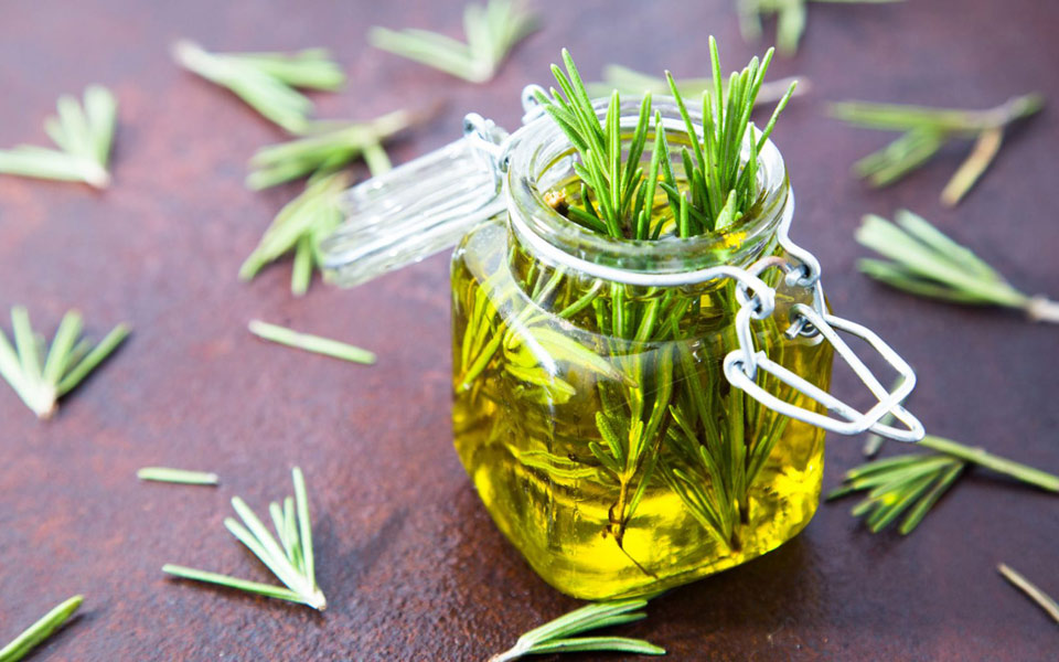 δενδρολίβανο-το-φυτικό-λιβάνι-2244844