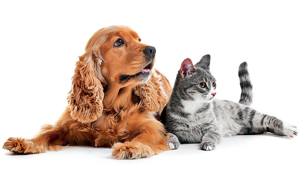 τι-κάνουμε-τώρα-2243691