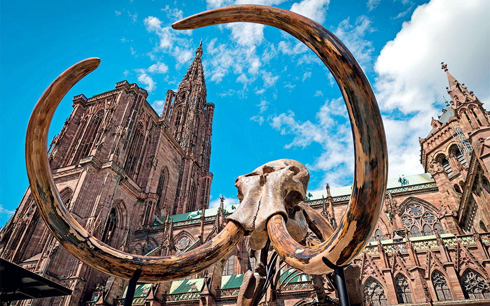 στρασβούργο-γαλλία-2248525