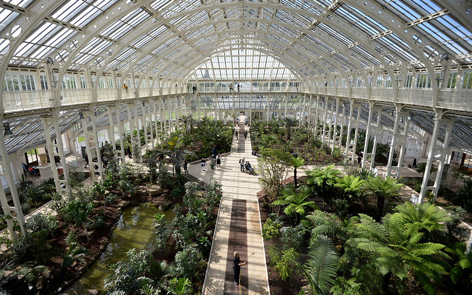 το-μεγαλύτερο-θερμοκήπιο-αναγεννήθ-2248417