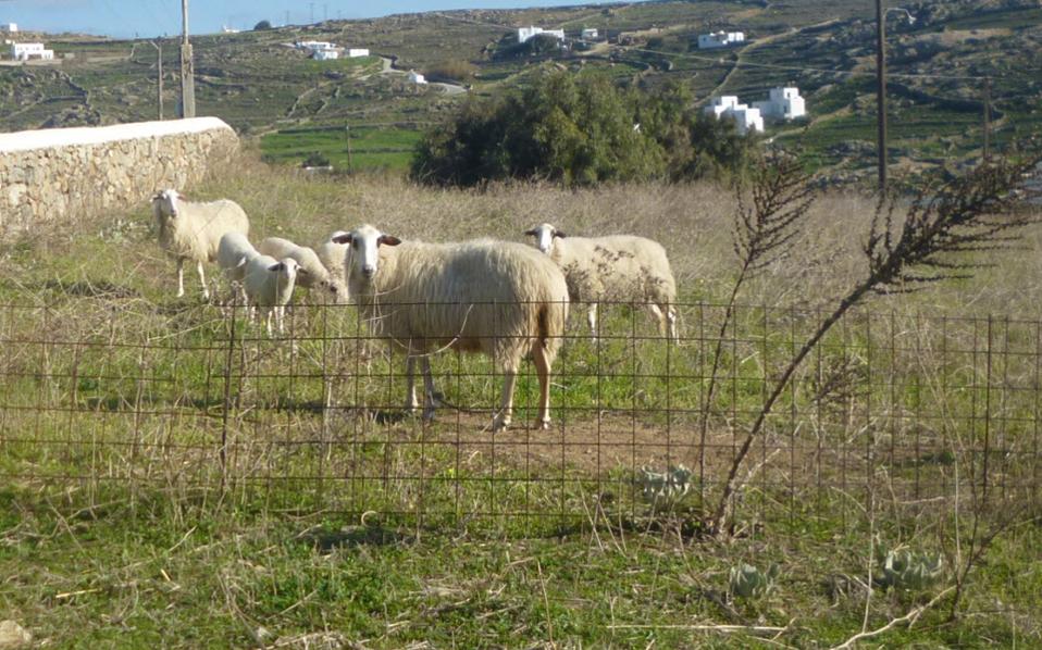 για-καλή-σωματική-και-ψυχική-υγεία-ζήσ-2247901