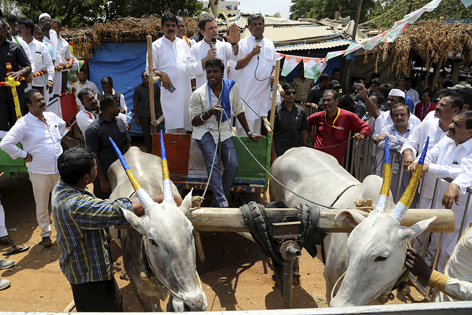 φωτογραφήματα-2249003