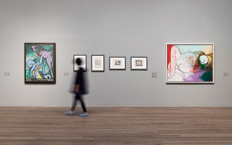 ενας-μόνο-χρόνος-από-τη-ζωή-του-πικάσο-2250083