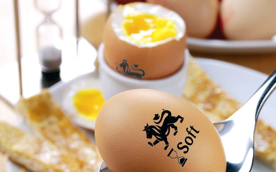 τα-αυγά-κάνουν-καλό-στην-καρδιά-2252062