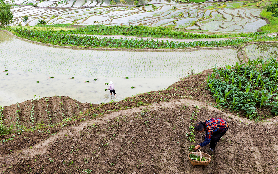 η-πλήρης-απογραφή-της-γης-αποκαλύπτει-2252059