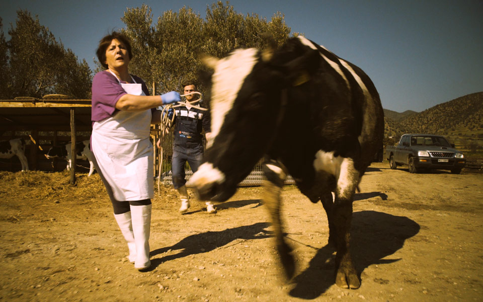 γάλα-γένους-θηλυκού-2250343