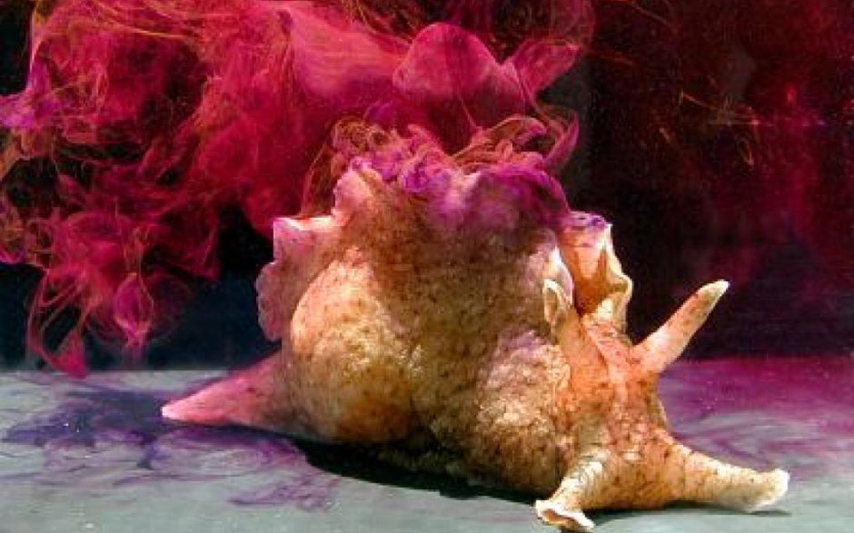 ηπα-επιστήμονες-κατάφεραν-για-πρώτη-φ-2250439