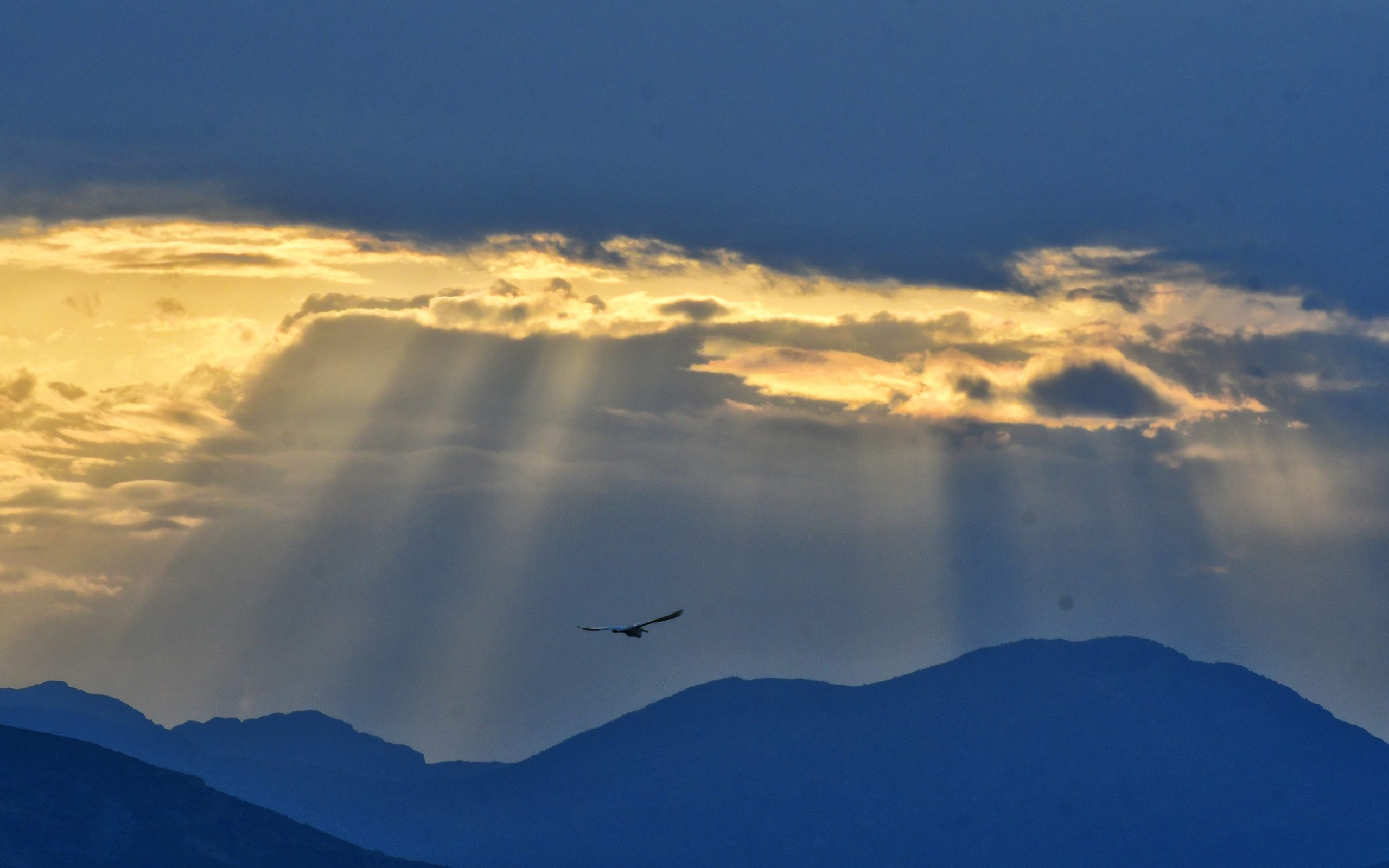 καιρός-ζέστη-σε-όλη-τη-χώρα-την-παρασκε-2253495