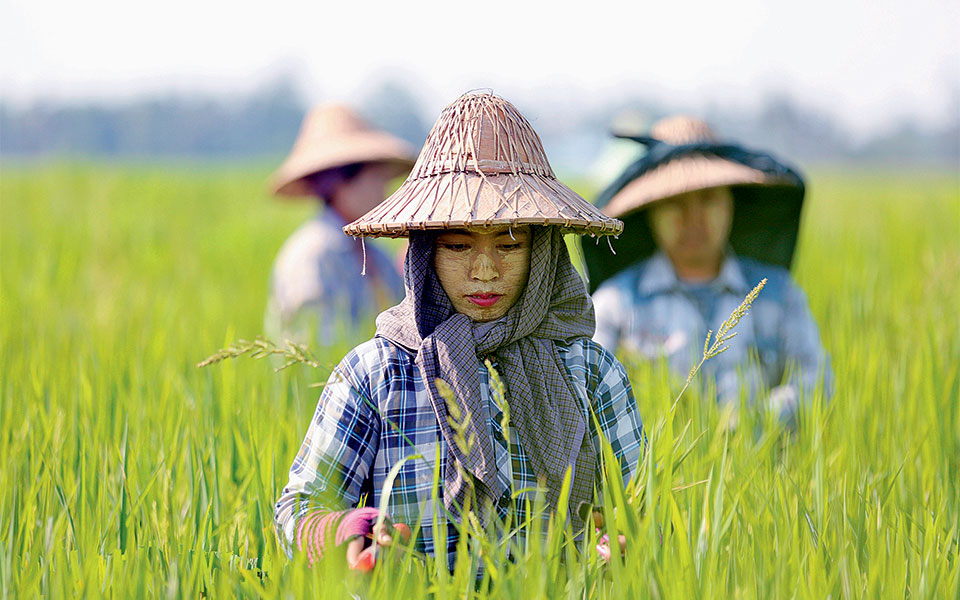 nαϊπιτάου-μιανμάρ-2248529