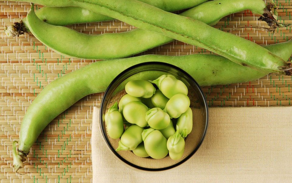 κουκιά-της-άνοιξης-2251881