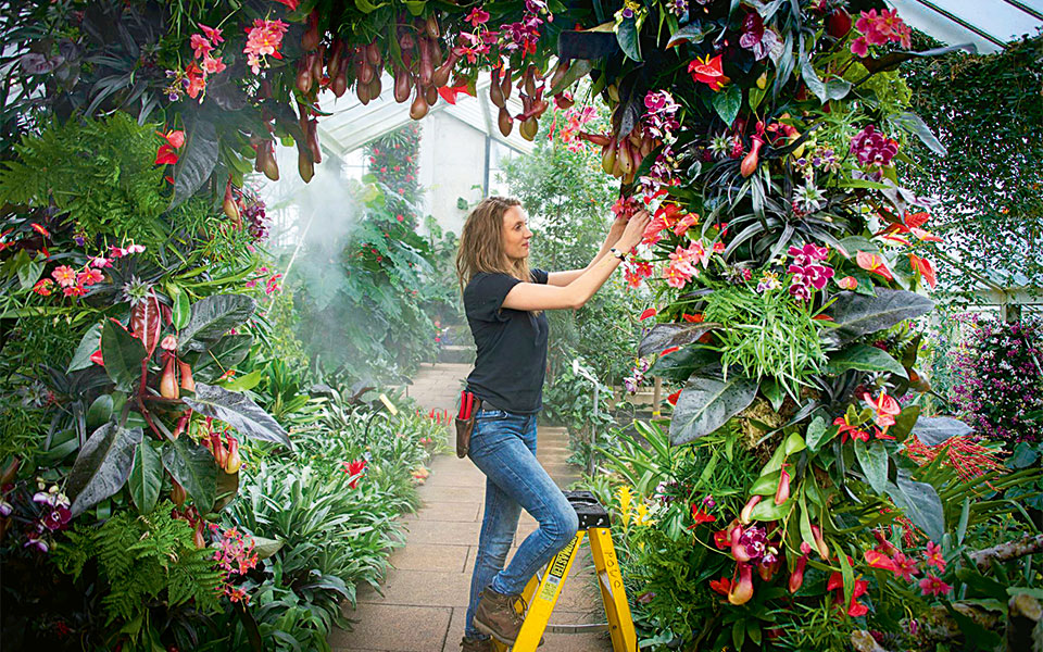 tο-καταφύγιο-των-λουλουδιών-2252127