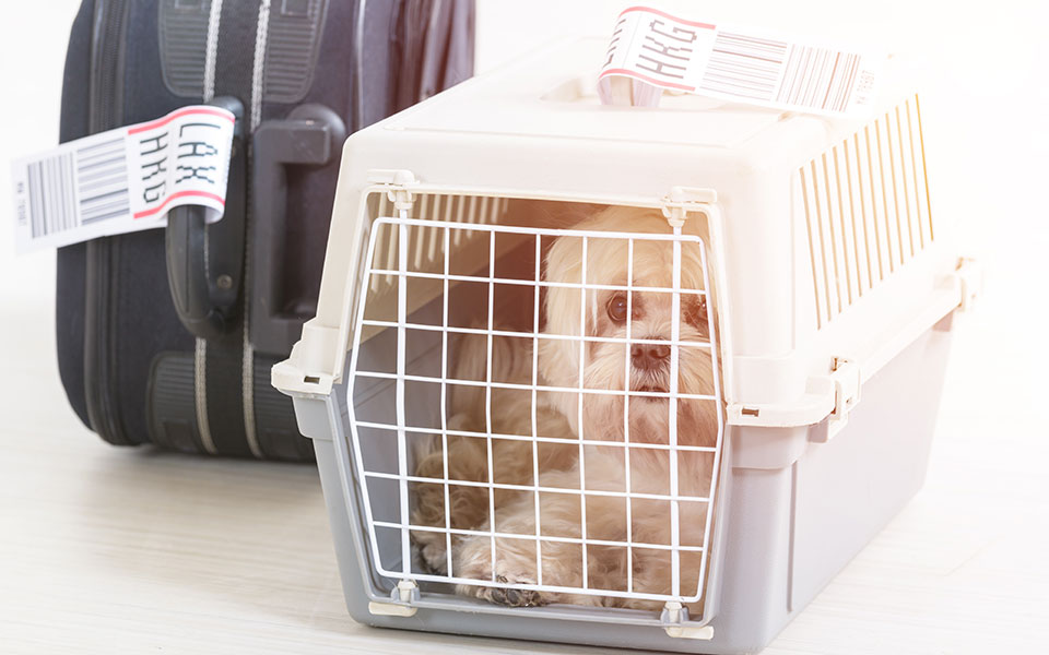 το-006-δεν-είναι-αμελητέο-2252355