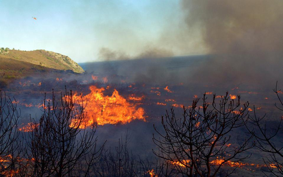 φωτιά-στη-νέα-μάκρη-και-σε-οικόπεδο-στη-2256340