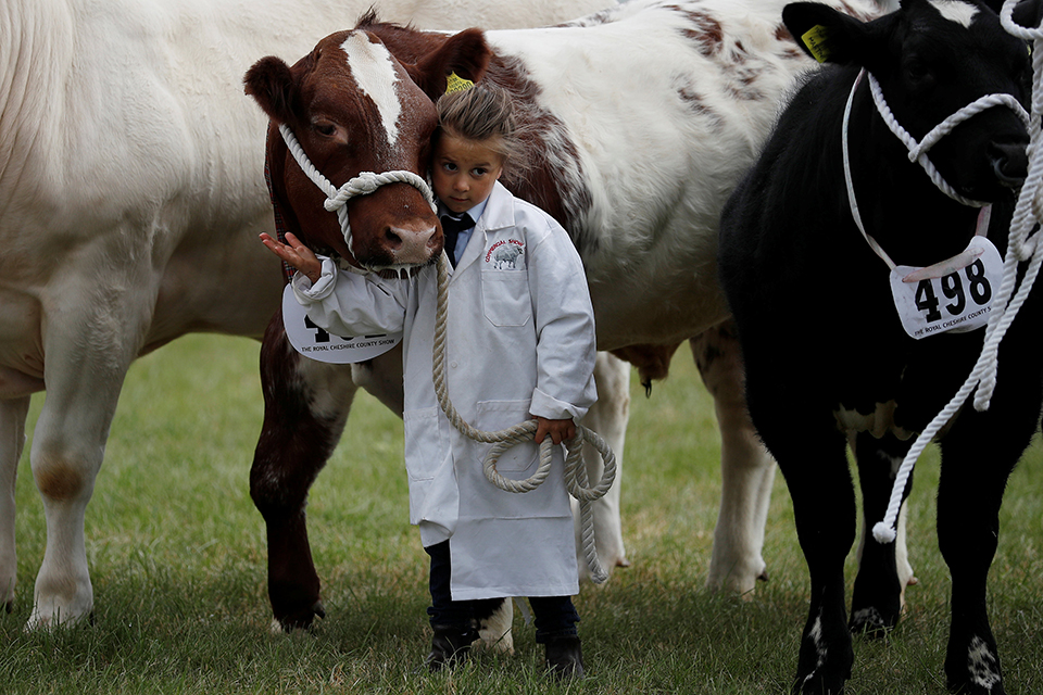 φωτογραφήματα-2257627