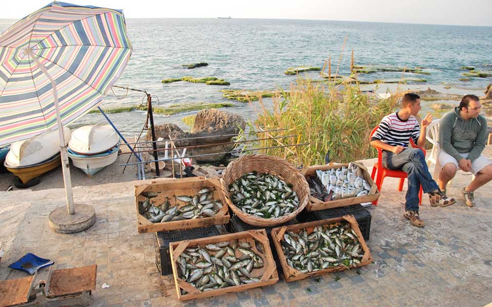 ενα-εργαστήρι-επιπλέει-στη-λέσβο-2259247