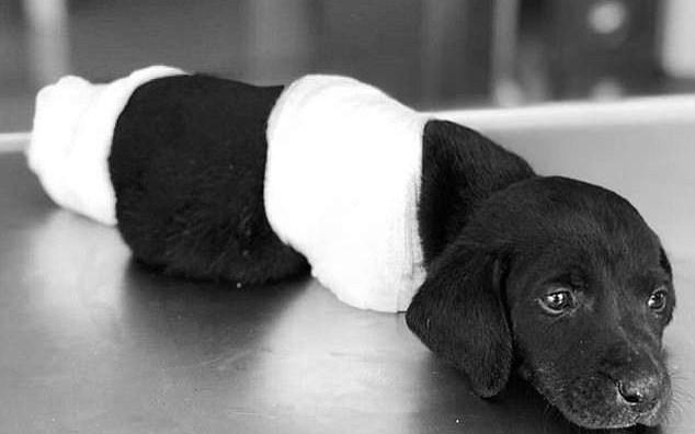 τουρκία-πως-επηρέασε-την-πολιτική-ατζ-2256780