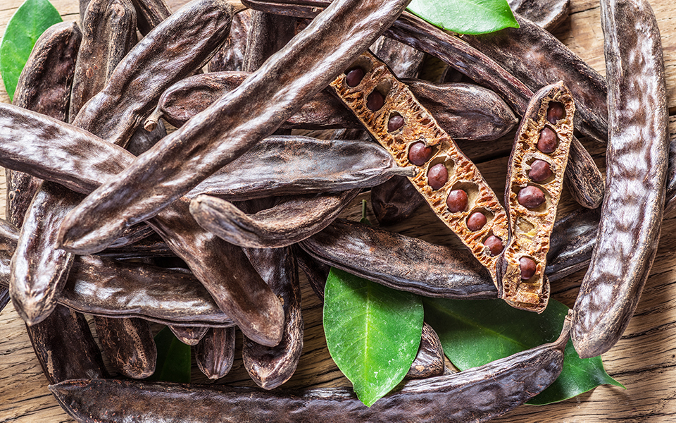 εκστρατεία-στην-κρήτη-για-το-ξεχασμέν-2255792